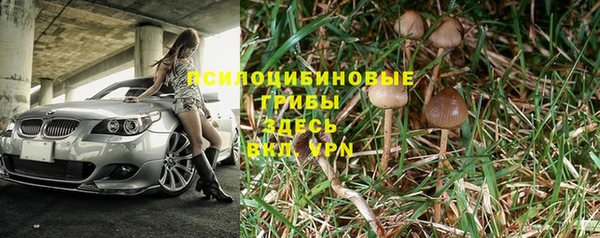 наркотики Приозерск