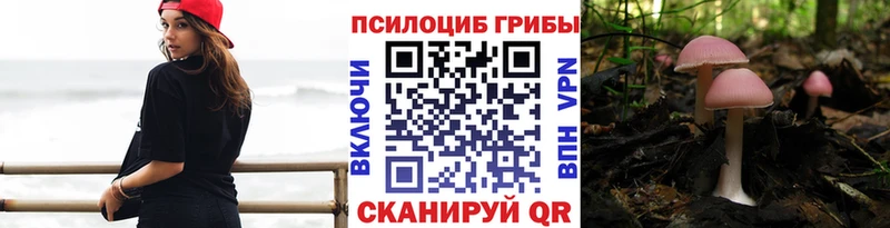 Купить  Луга  Галлюциногенные грибы GOLDEN TEACHER 